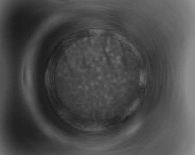X0000087530431200705181034
