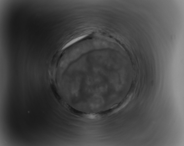 X0000087530432200705181034