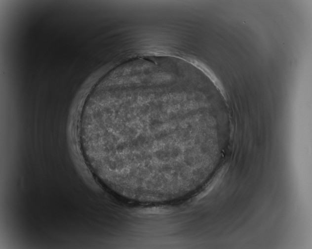 X0000087530433200705181033