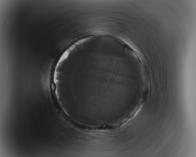 X0000087530434200705181033