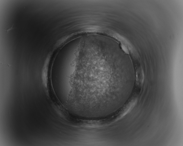 X0000087530436200705181033