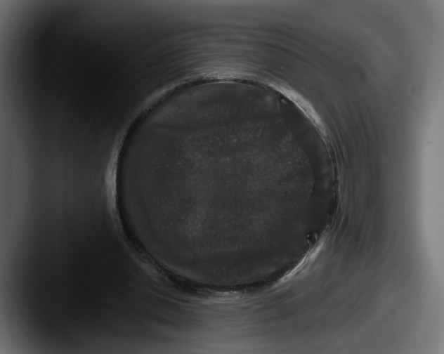 X0000087530438200705181033