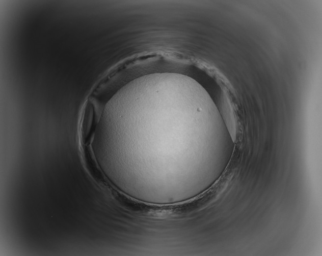 X0000087530440200705181033