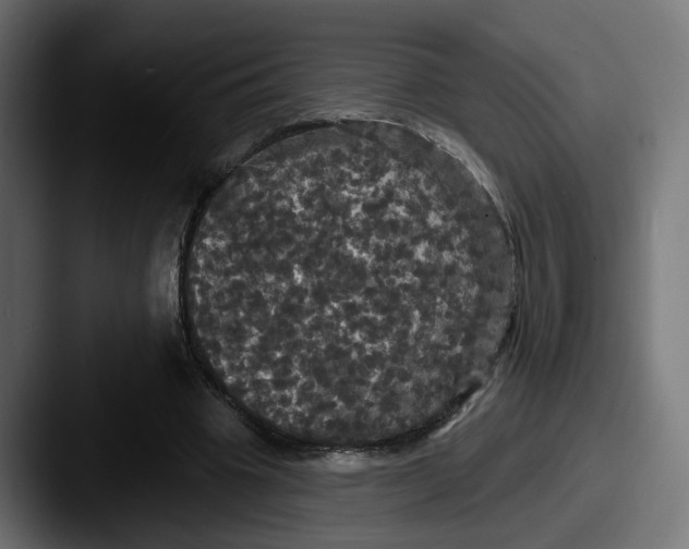 X0000087530441200705181033