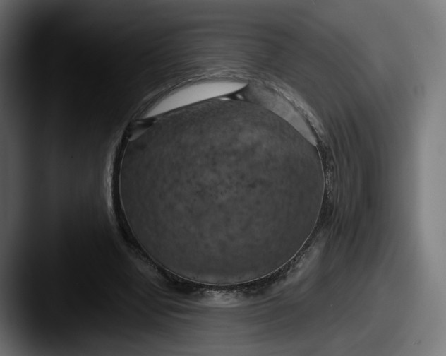 X0000087530442200705181033