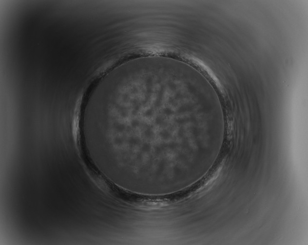 X0000087530443200705181033