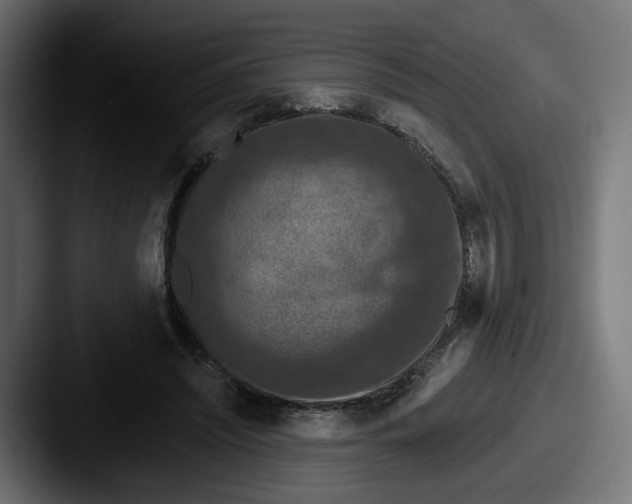X0000087530444200705181033