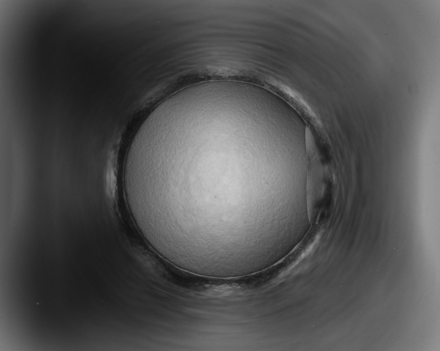 X0000087530446200705181033