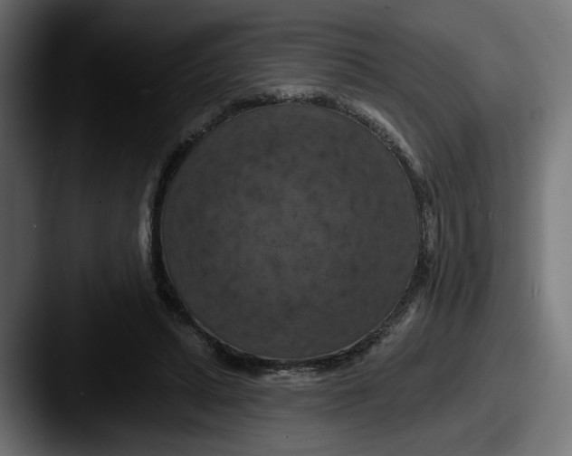 X0000087530447200705181033