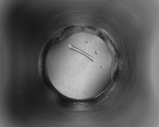 X0000087530448200705181033