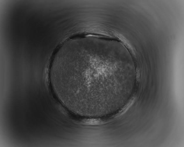 X0000087530449200705181033