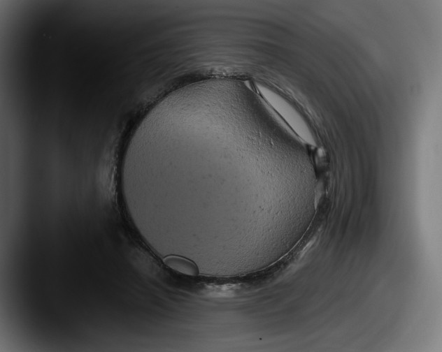 X0000087530450200705181033