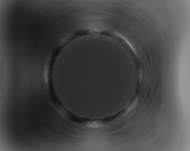 X0000087530451200705181033