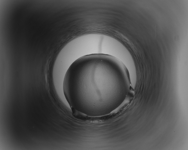 X0000087530452200705181033