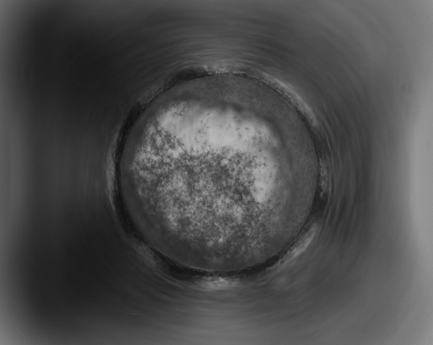 X0000087530453200705181033
