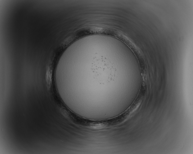 X0000087530454200705181033