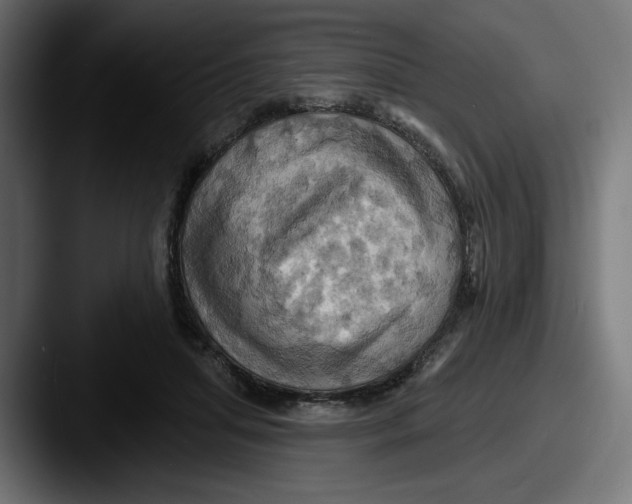 X0000087530455200705181033