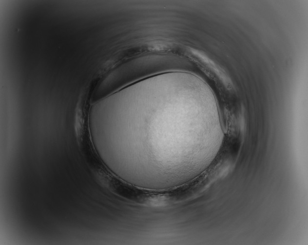 X0000087530456200705181033