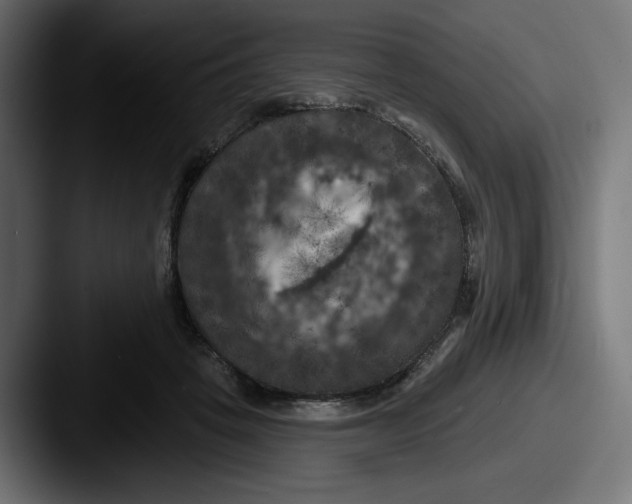 X0000087530457200705181033