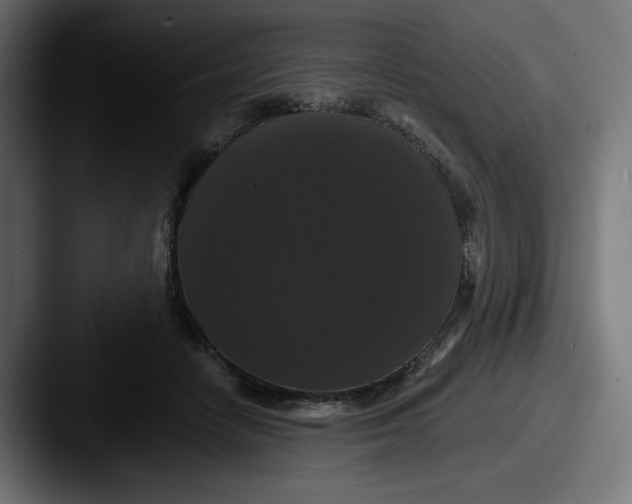 X0000087530458200705181033