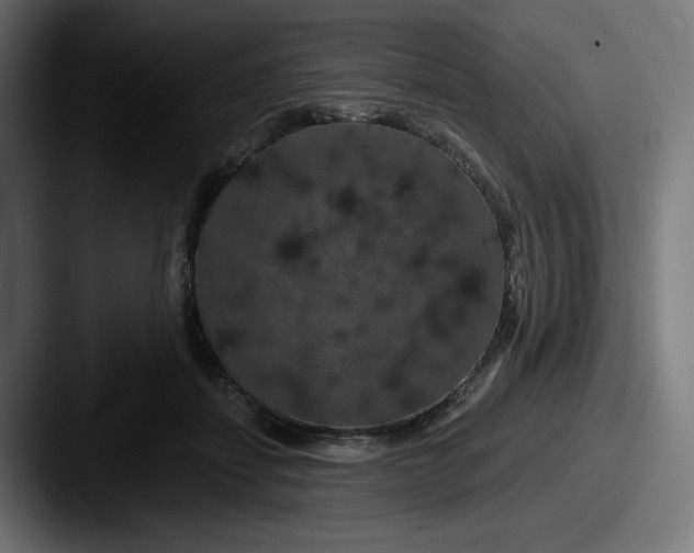 X0000087530459200705181033