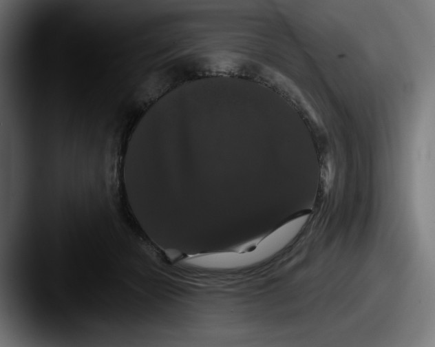 X0000087530462200705181033