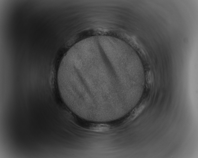 X0000087530463200705181033