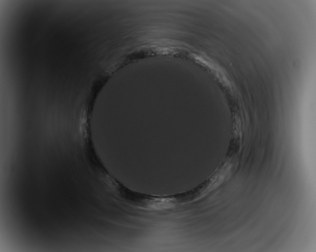 X0000087530465200705181034