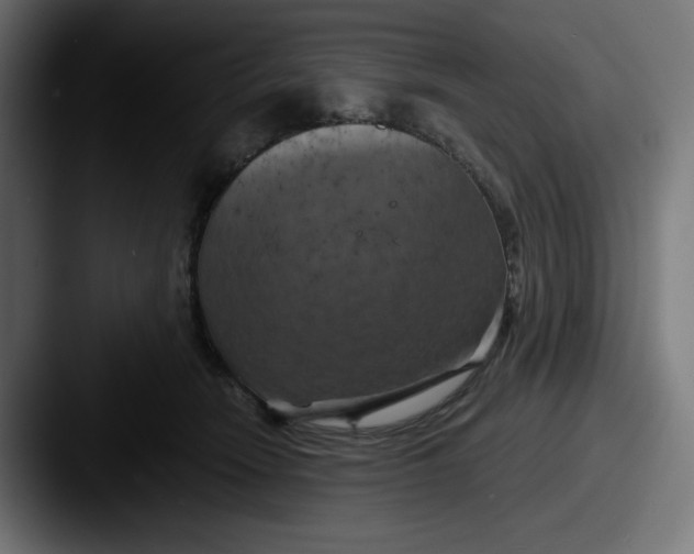 X0000087530466200705181034