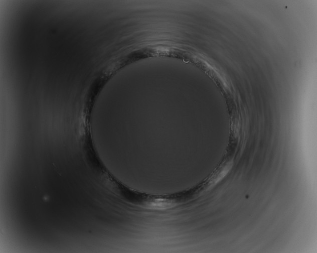 X0000087530467200705181034