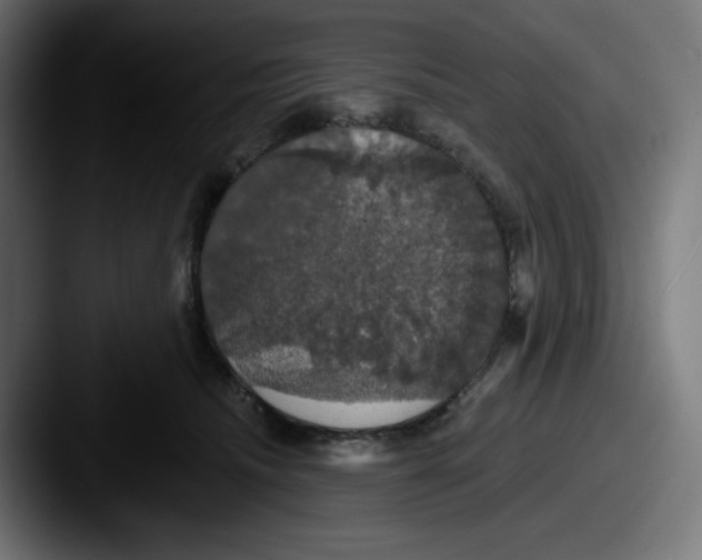 X0000087530468200705181034
