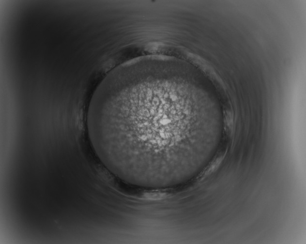 X0000087530470200705181034