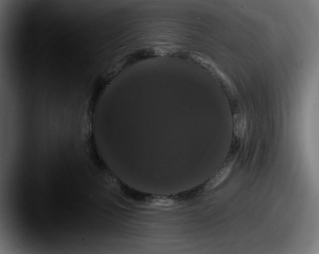 X0000087530471200705181034