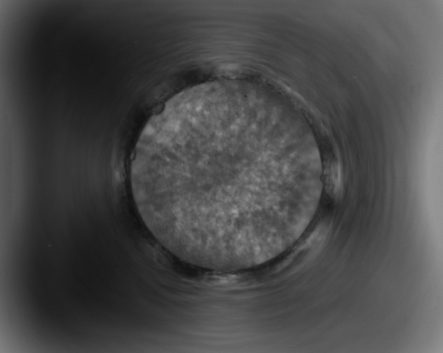 X0000087530472200705181034
