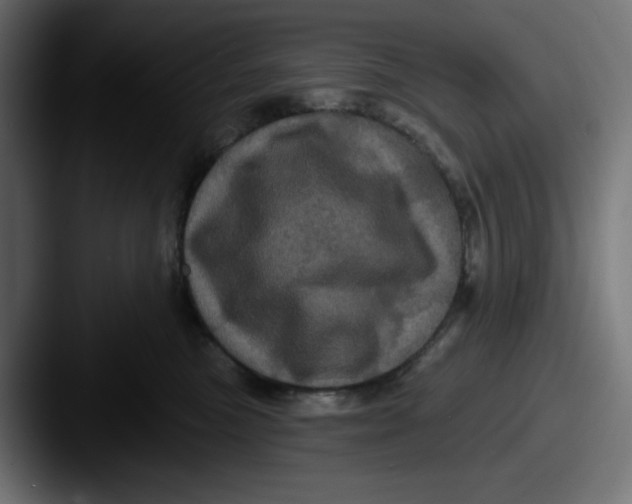 X0000087530473200705181034
