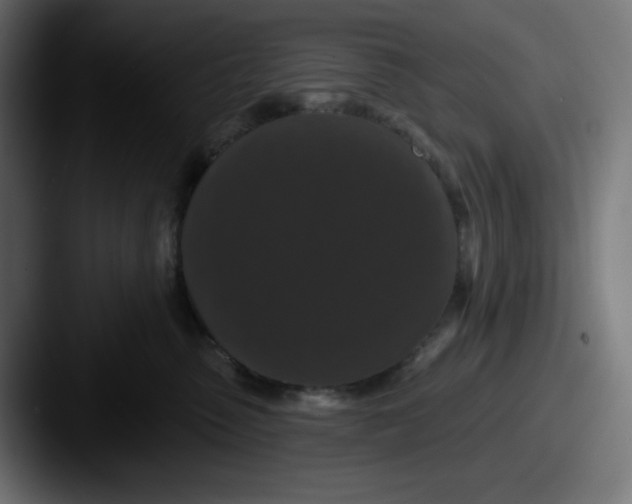X0000087530475200705181034