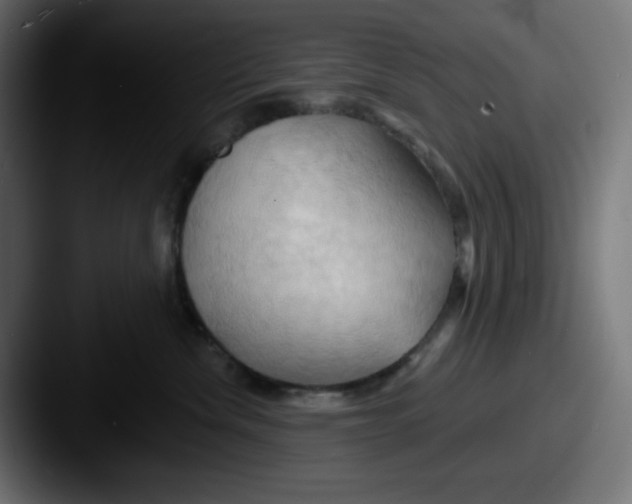 X0000087530476200705181034