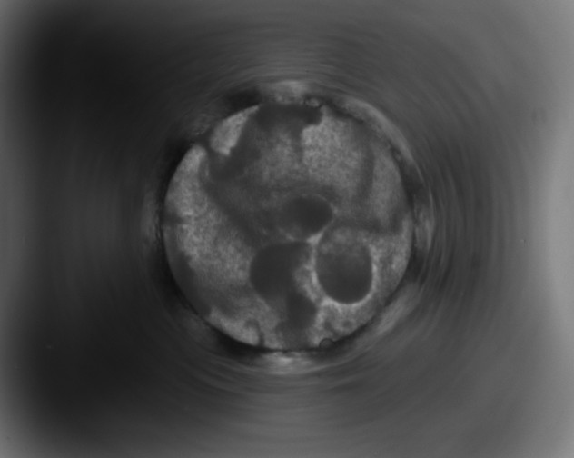 X0000087530477200705181034