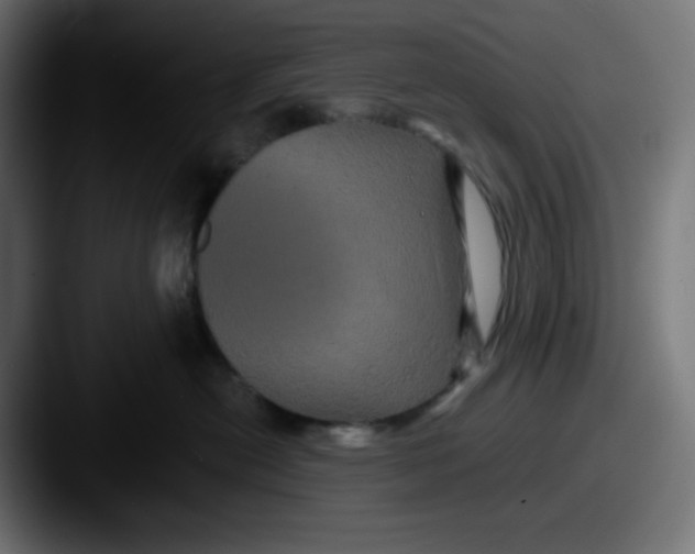 X0000087530478200705181034