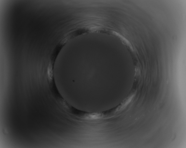 X0000087530479200705181034