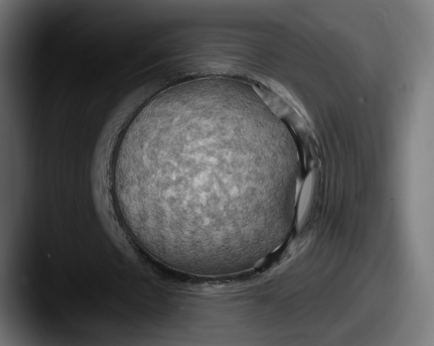 X0000087530481200705181033