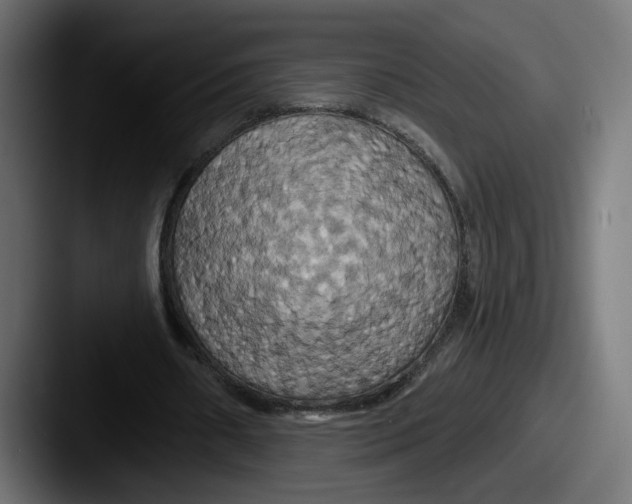 X0000087530482200705181033