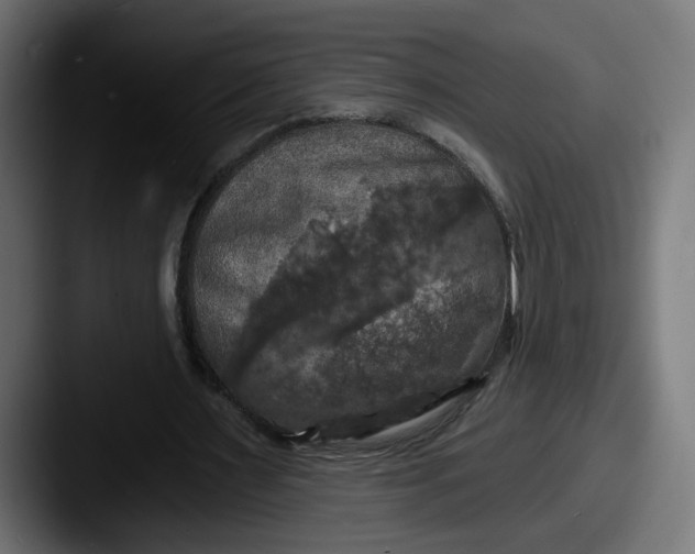 X0000087530483200705181033