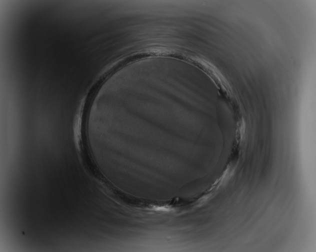 X0000087530484200705181033