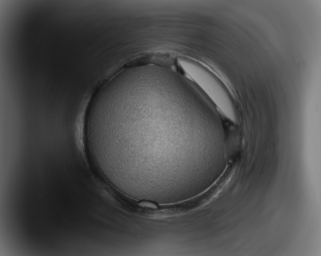 X0000087530485200705181033