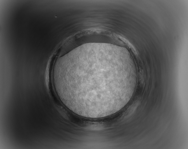 X0000087530486200705181033