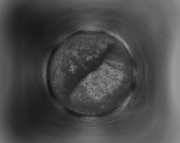X0000087530487200705181033