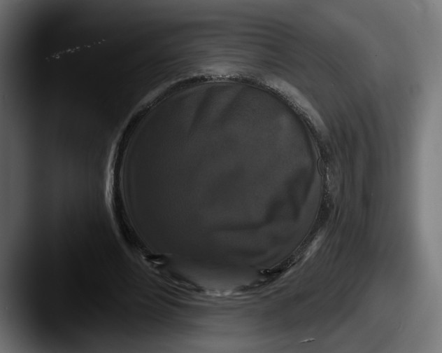 X0000087530488200705181033