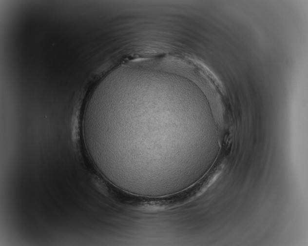 X0000087530489200705181033