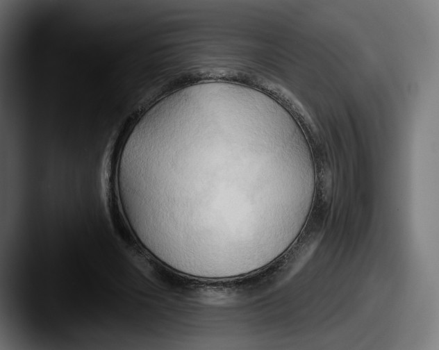 X0000087530490200705181033
